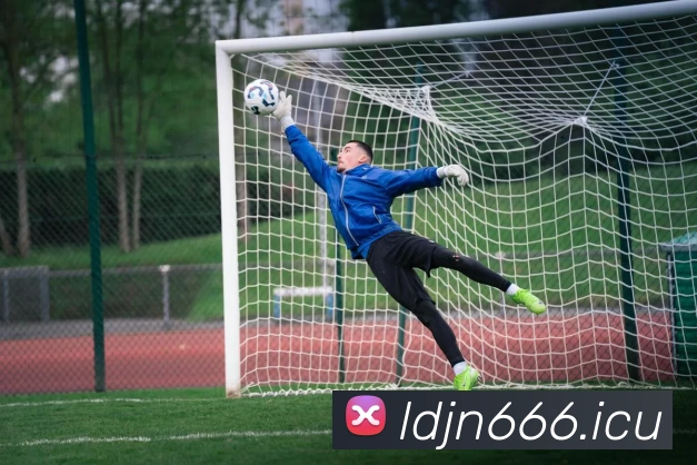 九游体育app - 九游(中国)品牌故事