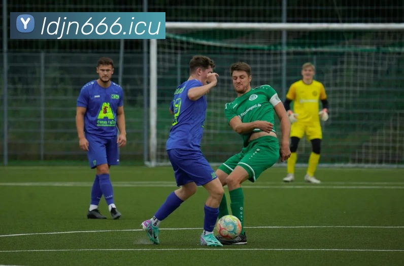 多媒体互动体验